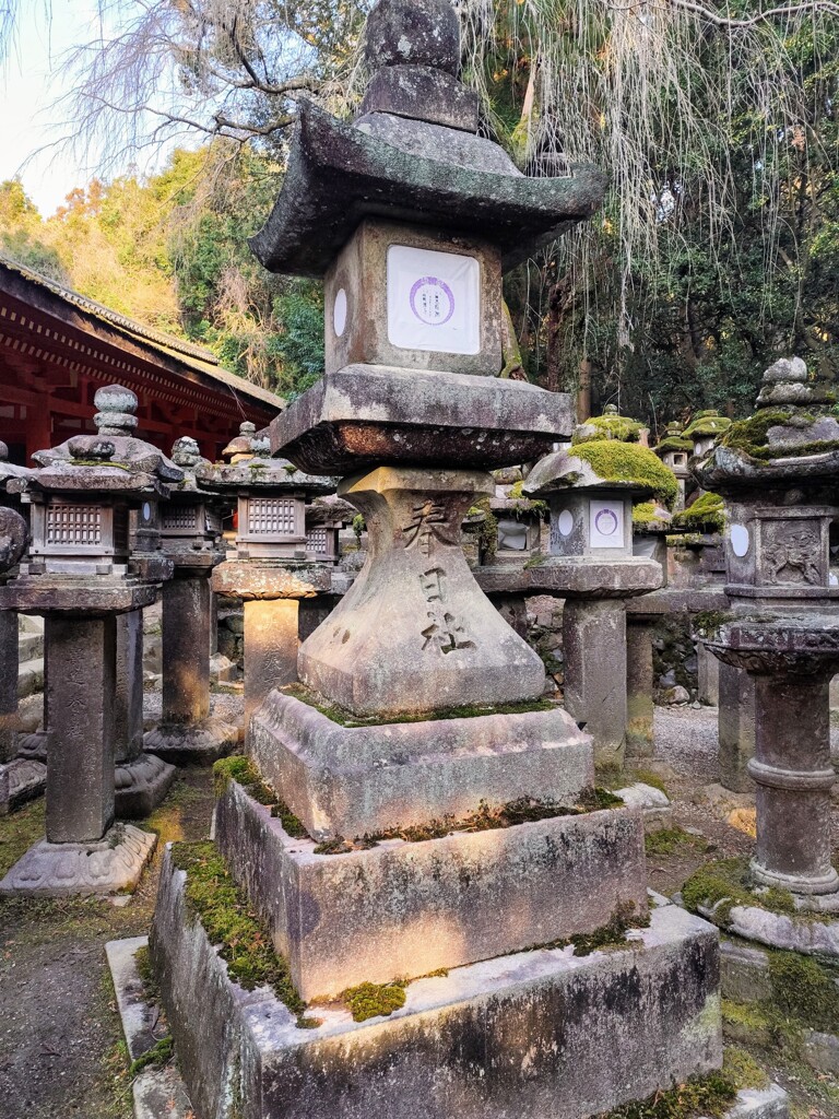1000007966　春日大社