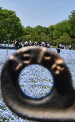 1000009047　小人達の花畑