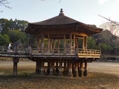 1000007927奈良公園　水が無い　西日に当たる浮見堂