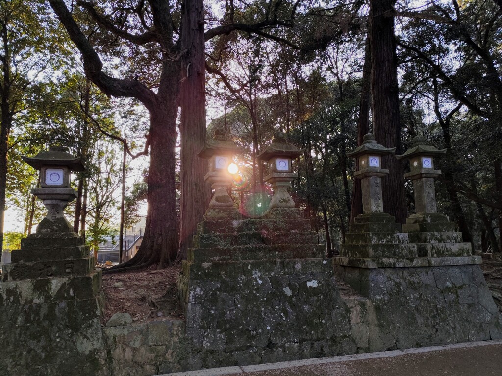 1000007922　夕暮の春日大社の灯籠