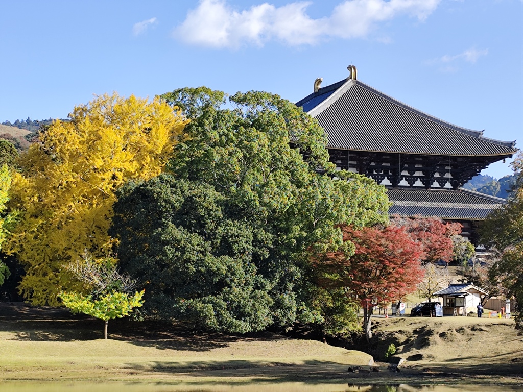 1000010208　東大寺大仏殿