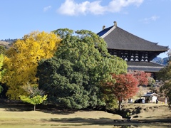 1000010208　東大寺大仏殿