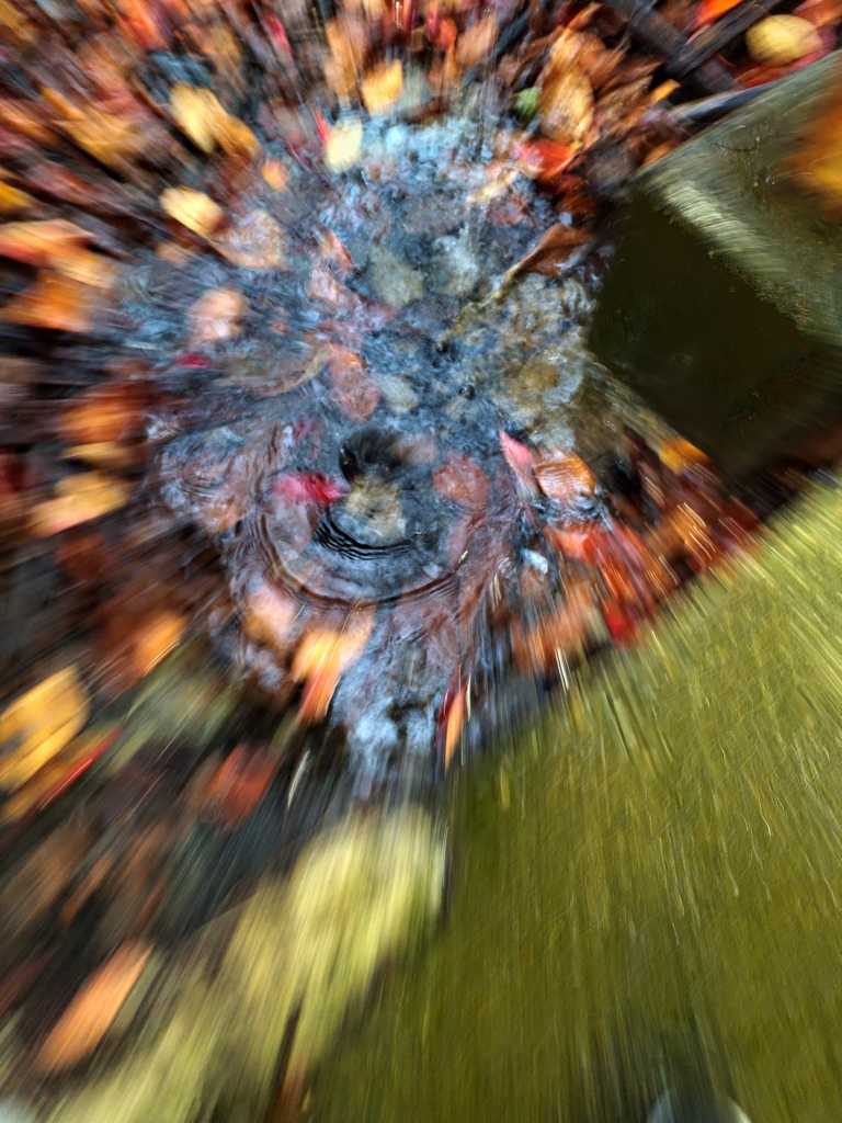 1000007193
