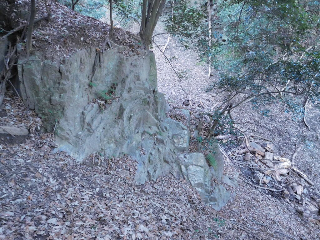山城・中尾城跡にて・・・