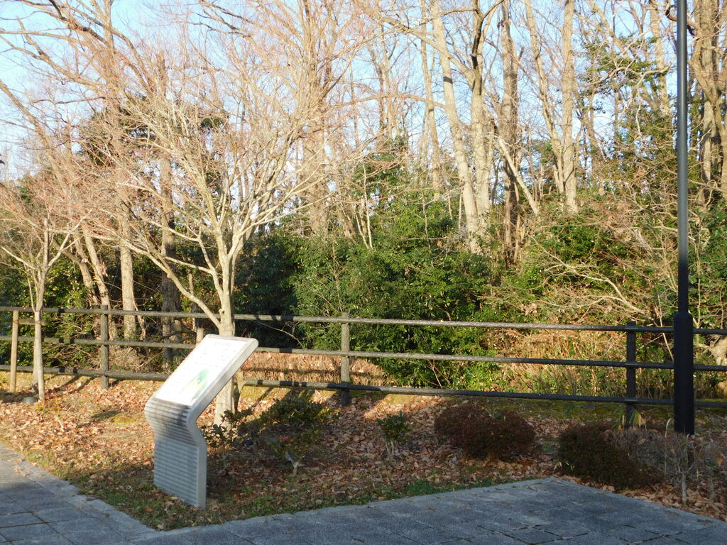 摂津・風呂ヶ谷城跡にて・・・