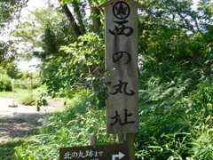 近江・八幡山城跡にて・・・