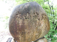 摂津・丸山城跡にて・・・