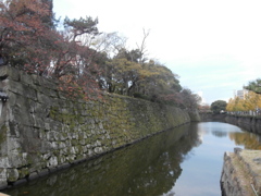紀伊・和歌山城址にて・・・