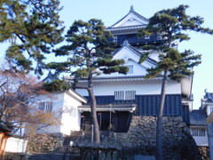 三河・岡崎城址にて・・・