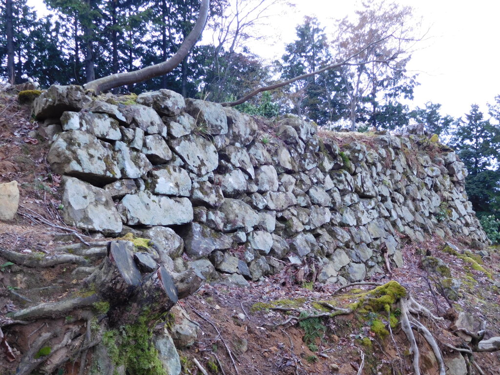 但馬・有子山城址にて・・・