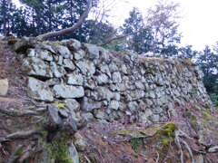 但馬・有子山城址にて・・・