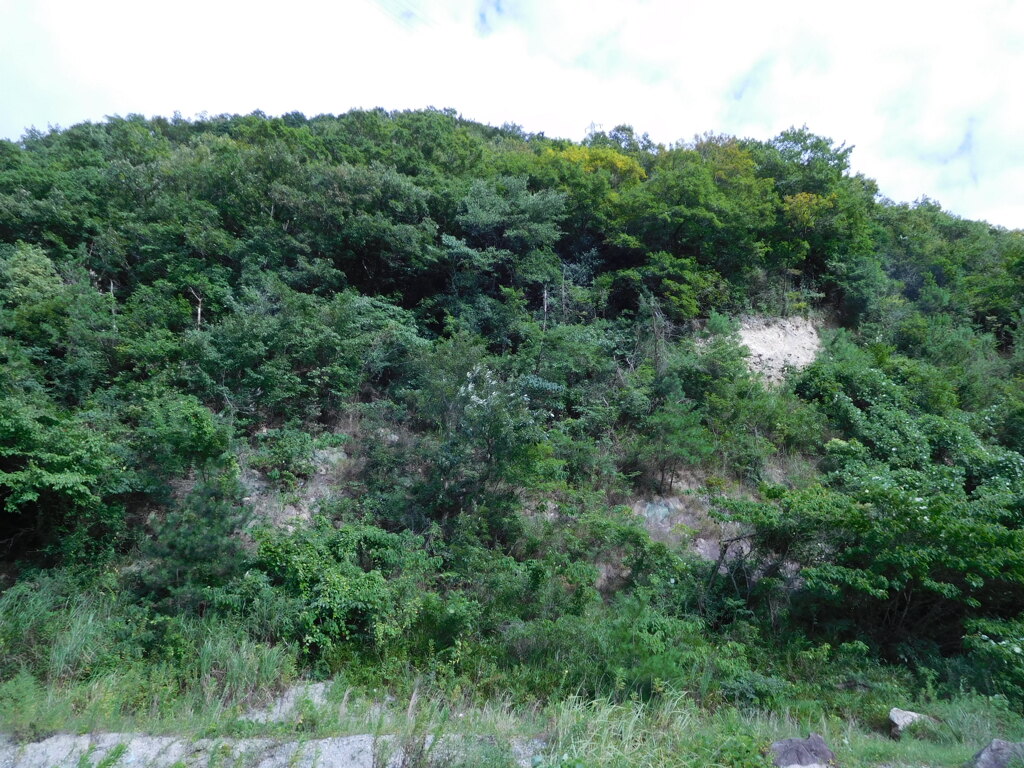 播磨・鳴尾山城跡にて・・・
