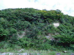 播磨・鳴尾山城跡にて・・・