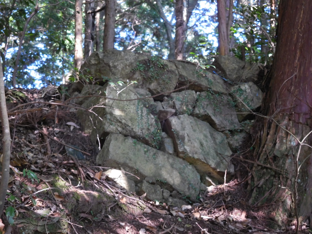 播磨・白山城跡にて・・・