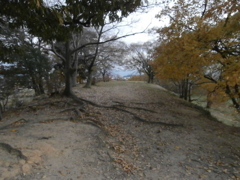 河内・小山城址にて・・・