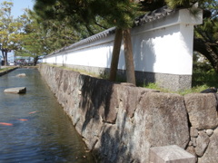 近江・膳所城址にて・・・