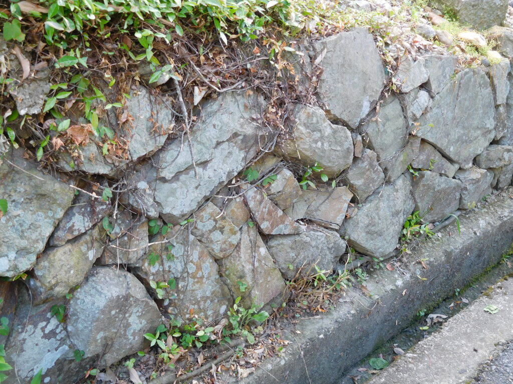 播磨・垂井城跡にて・・・