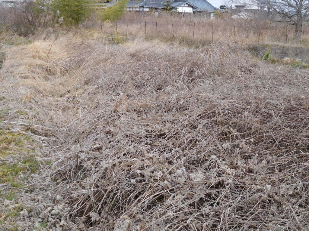 播磨・島村城跡にて・・・