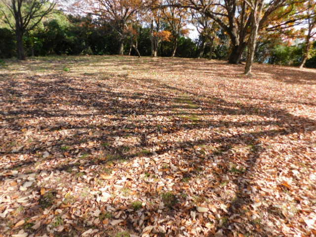 播磨・福泊城址にて・・・