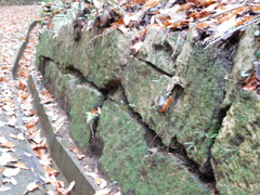 備中・長良山城跡にて・・・