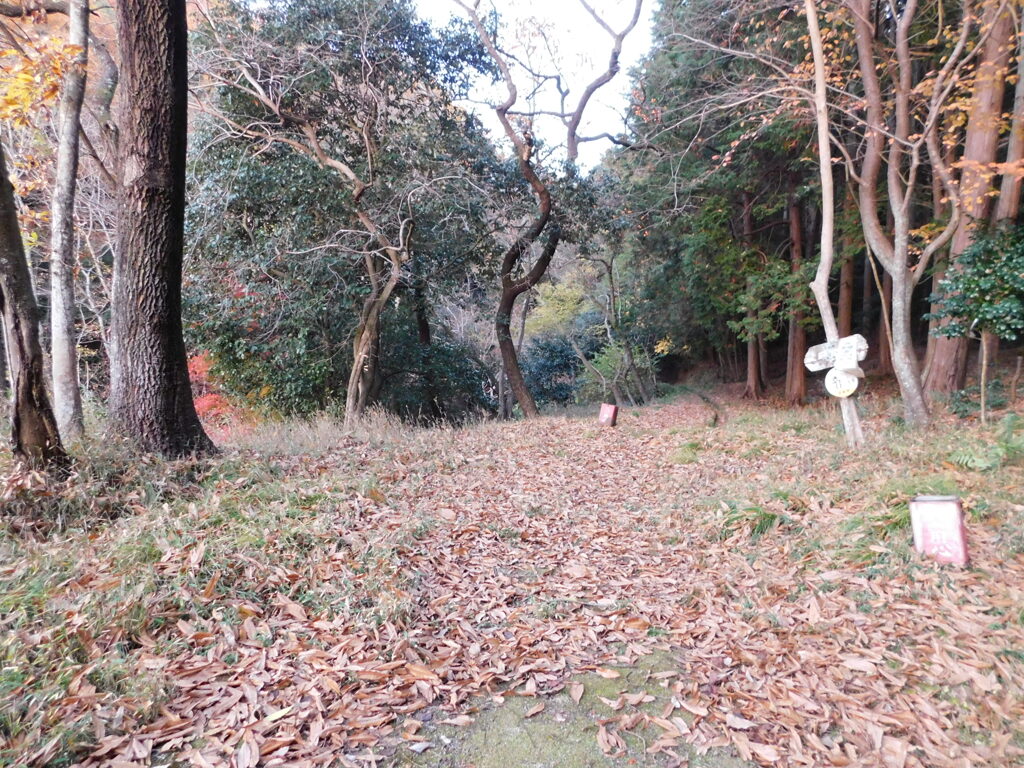 摂津・山下城跡にて・・・