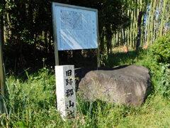 摂津・郡山城跡にて・・・
