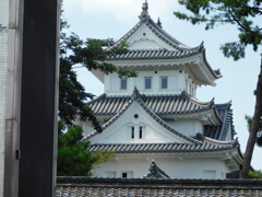 美濃・大垣城址にて・・・