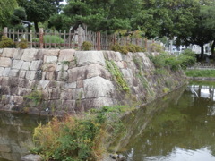 摂津・高槻城址にて・・・