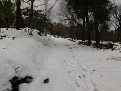 近江・清水山城跡にて・・・