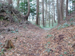 近江・村雨城跡にて・・・