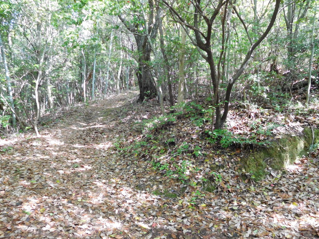 播磨・柴崎山城跡にて・・・
