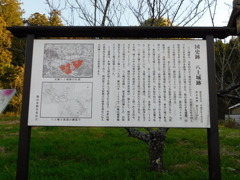 丹波・八上城跡にて・・・