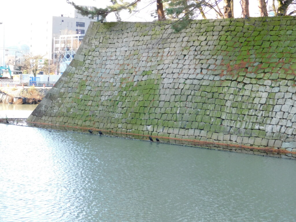 越前・福井城址にて・・・