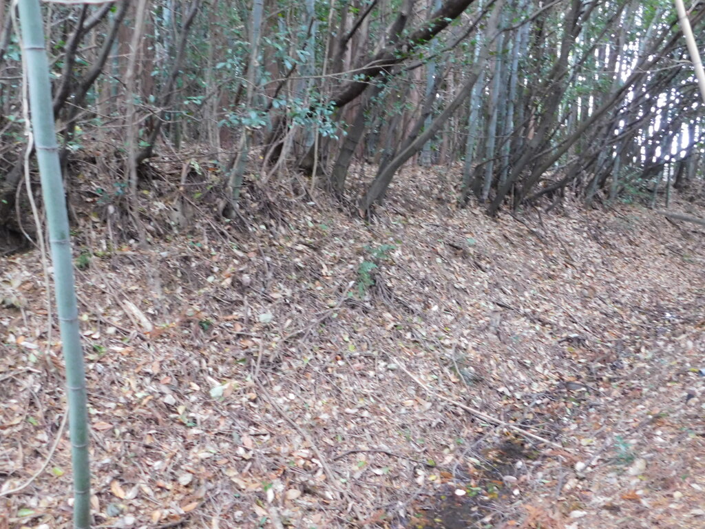 近江・竹中城跡にて・・・