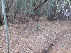近江・竹中城跡にて・・・