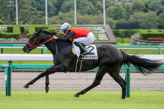 なぜか中山競馬場へ