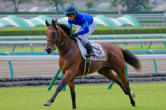お馬