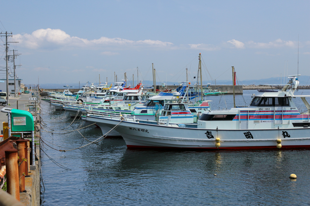 海岸散歩2