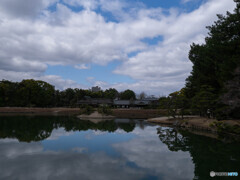 リフレクション