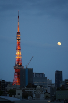 六本木ヒルズから東京タワーと月