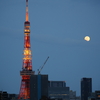 六本木ヒルズから東京タワーと月