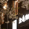 夜桜逆光