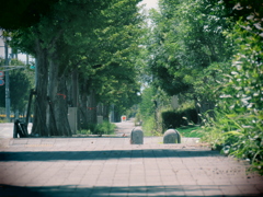 夏の路上