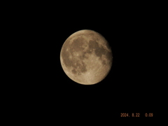 2024年8月22日 月