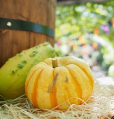 来月はハロウィン