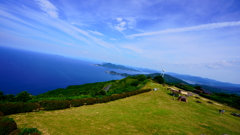 DSC05881