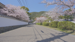 DSC06021