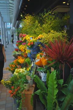 DSC06335