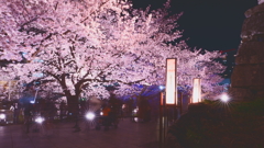 DSC06000