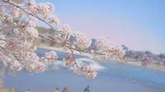 DSC06054